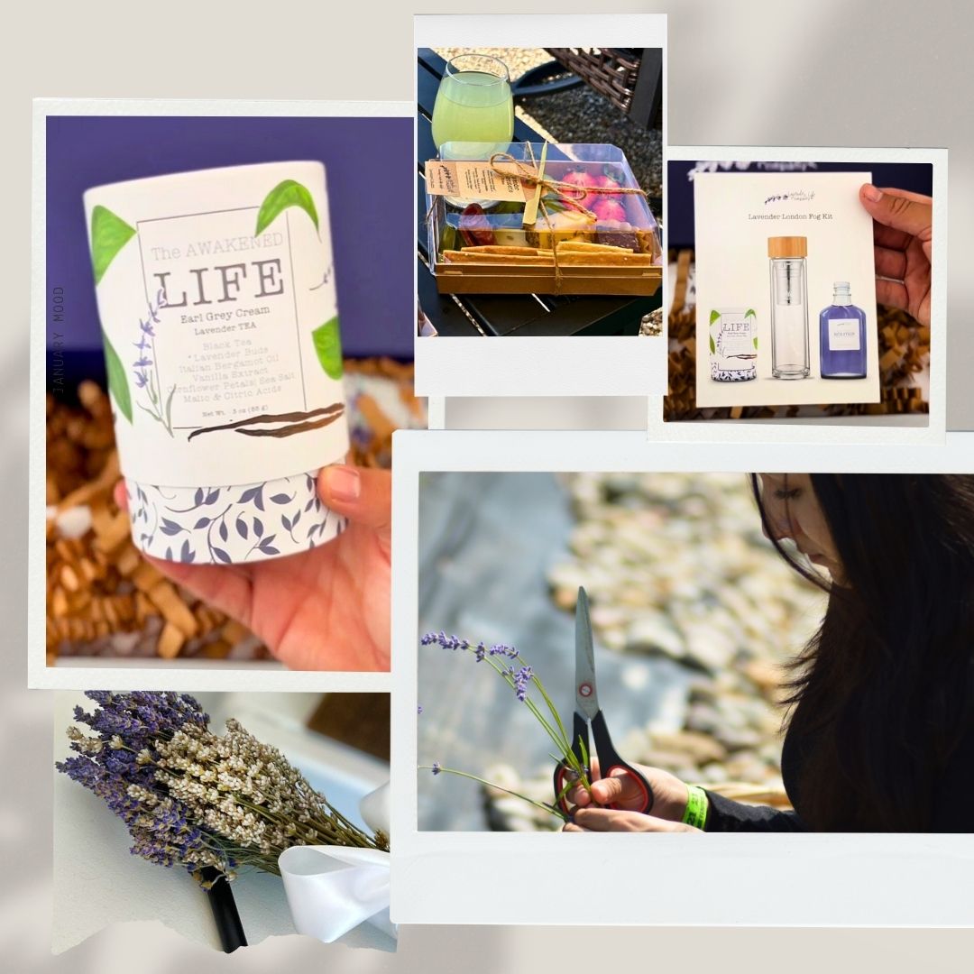 A Field of Calm: My Journey from Lavender Life Farm to My Morning Cup of Tea