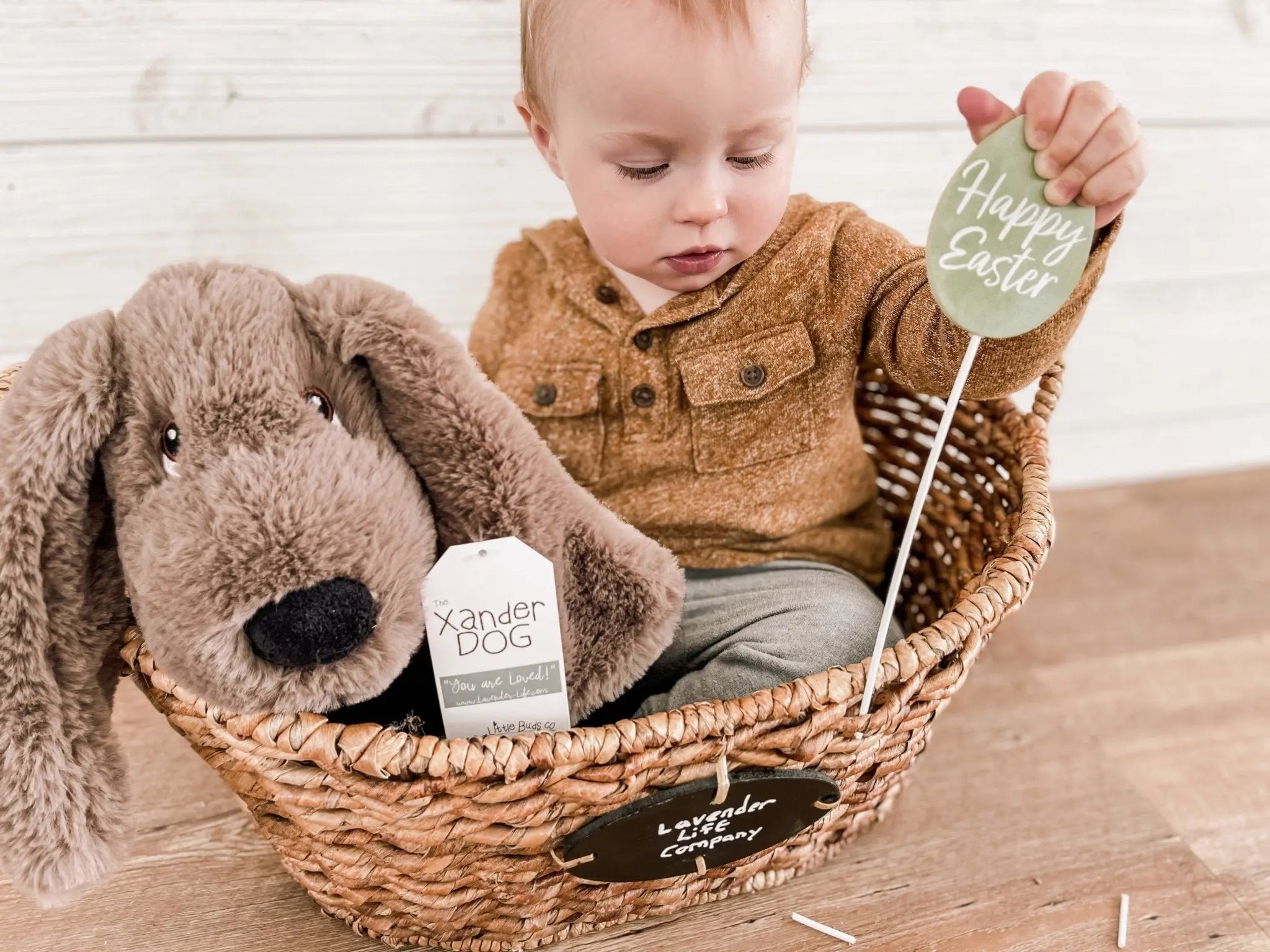 Xander Dog with baby holding a happy easter sign in basket