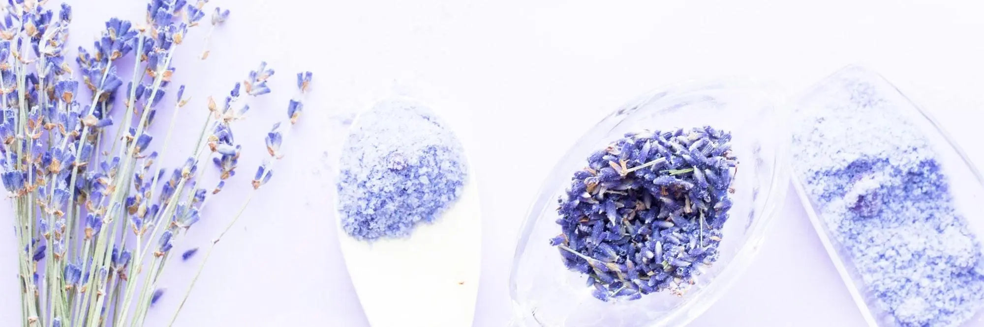 Dried-Lavender Lavender Life Company