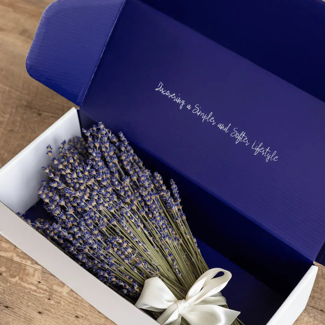lavender plant gift delivery Dried Lavender
