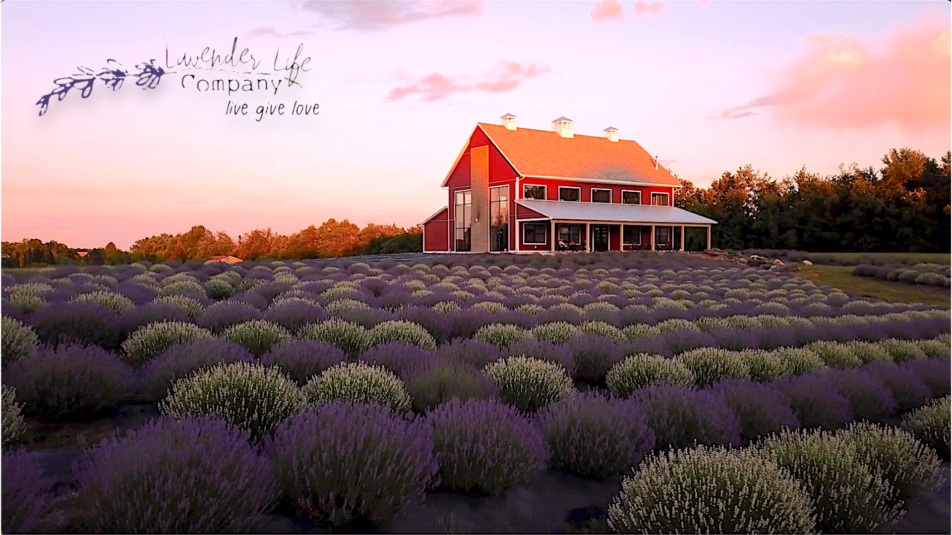 Lavender Life Company