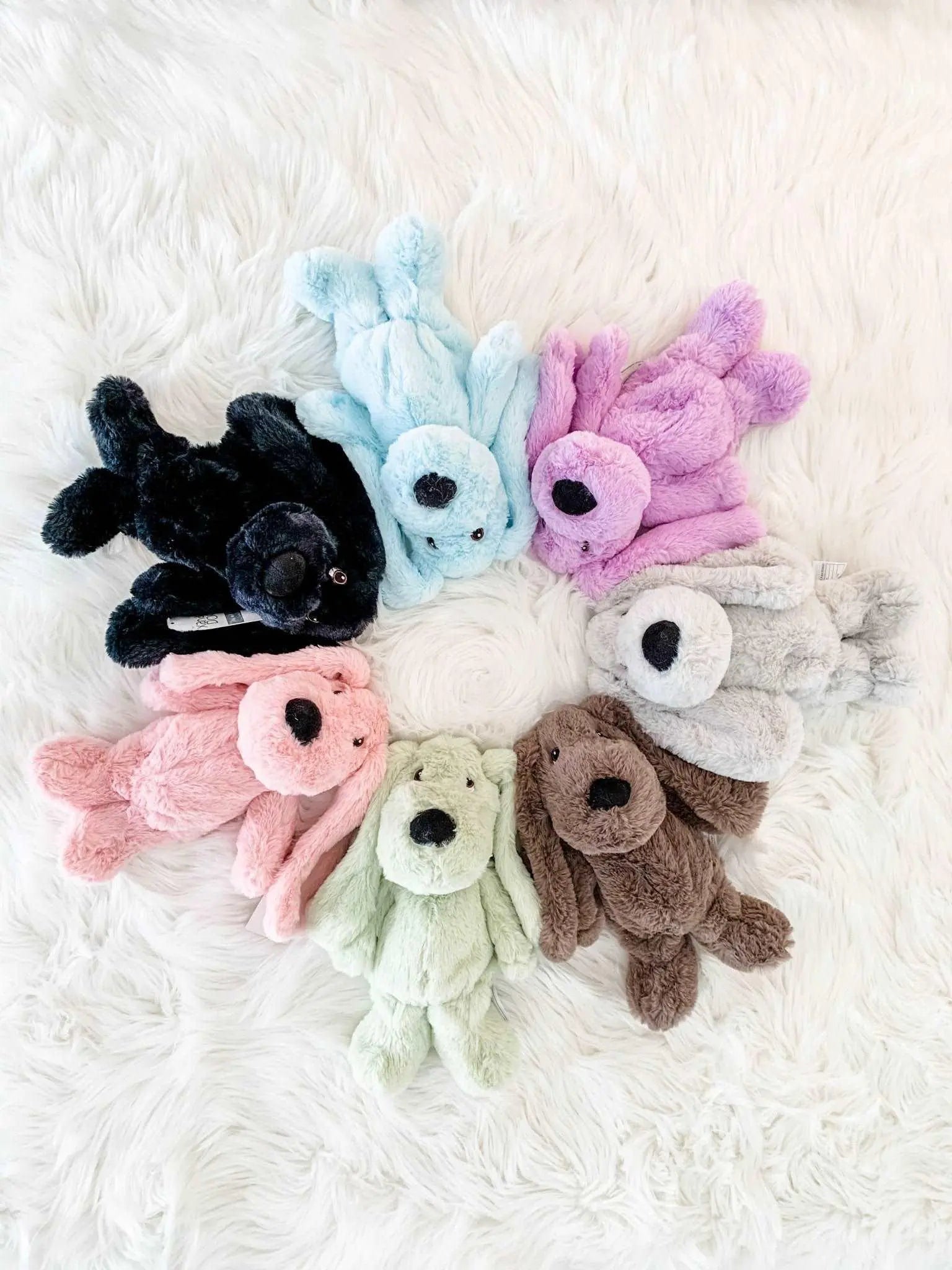 lavender Comfort Dog | Best Xander Dog | Lavender Life Company