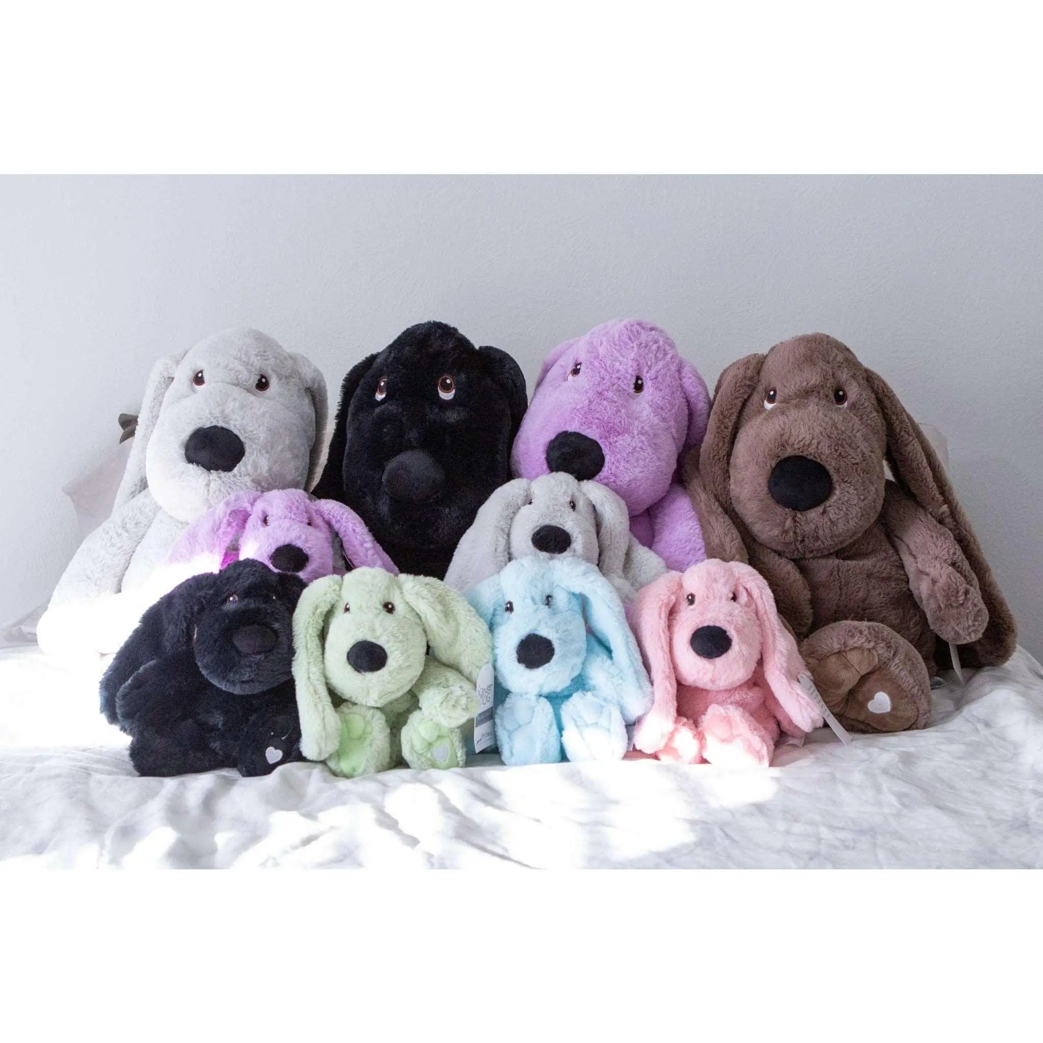 lavender Comfort Dog | Best Xander Dog | Lavender Life Company