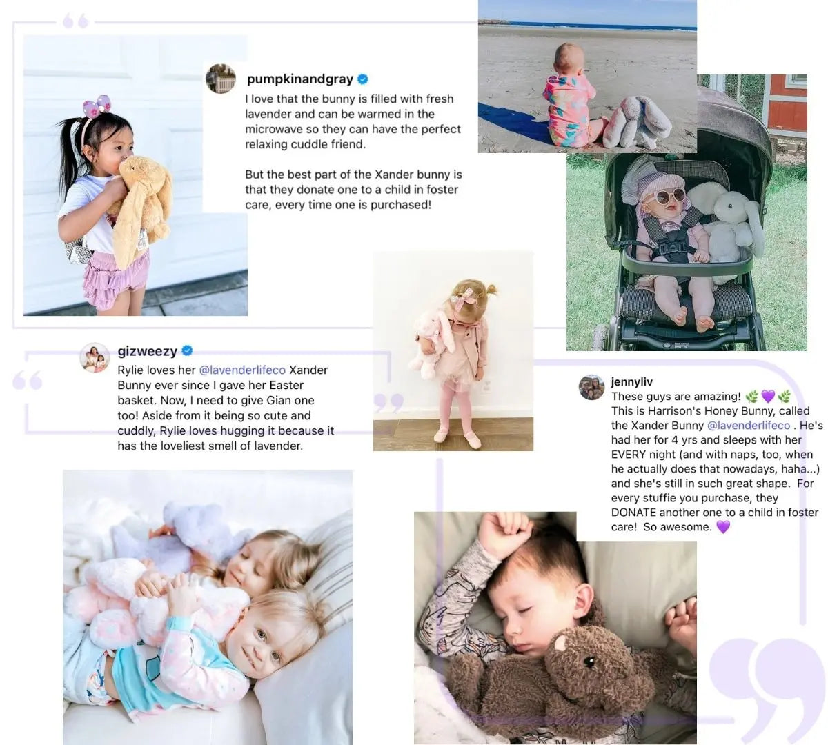 Why-Our-Community-Loves-Xander-Friends Lavender Life Company