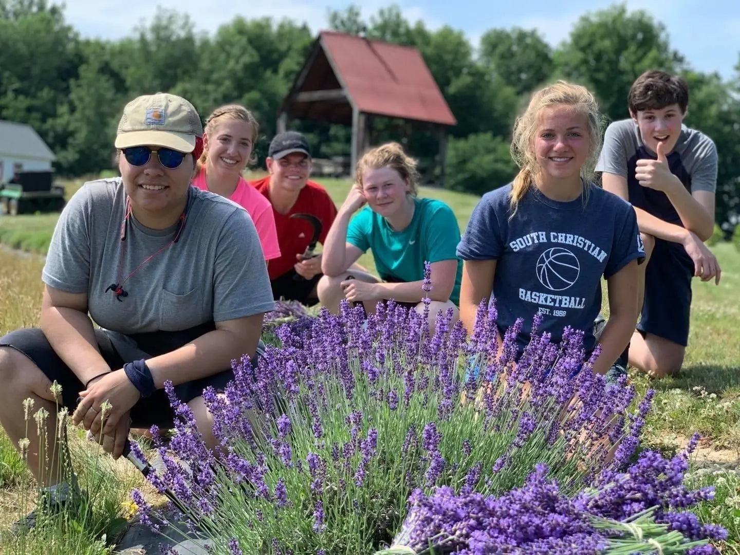 kids in lavender fields harvesting