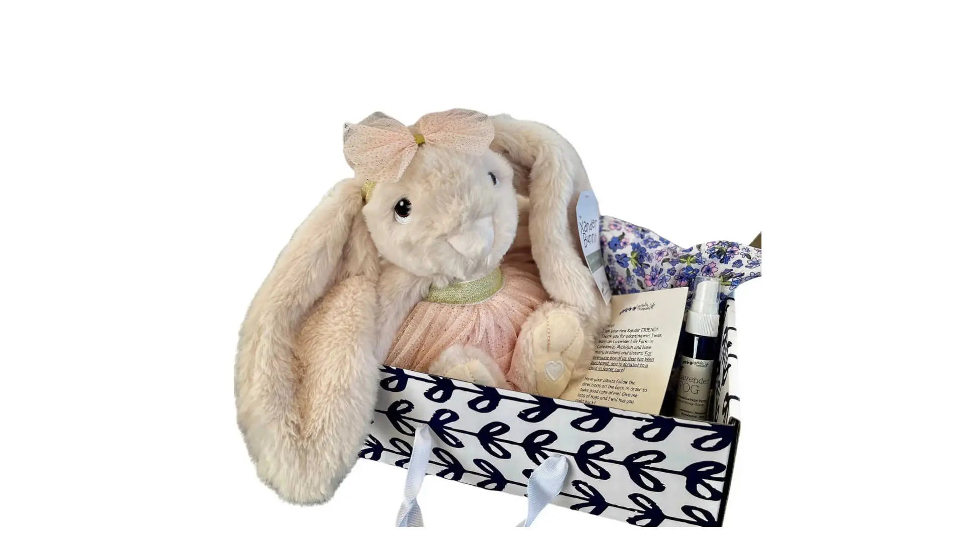 Xander stuffed bunny giftset with clothes and more!