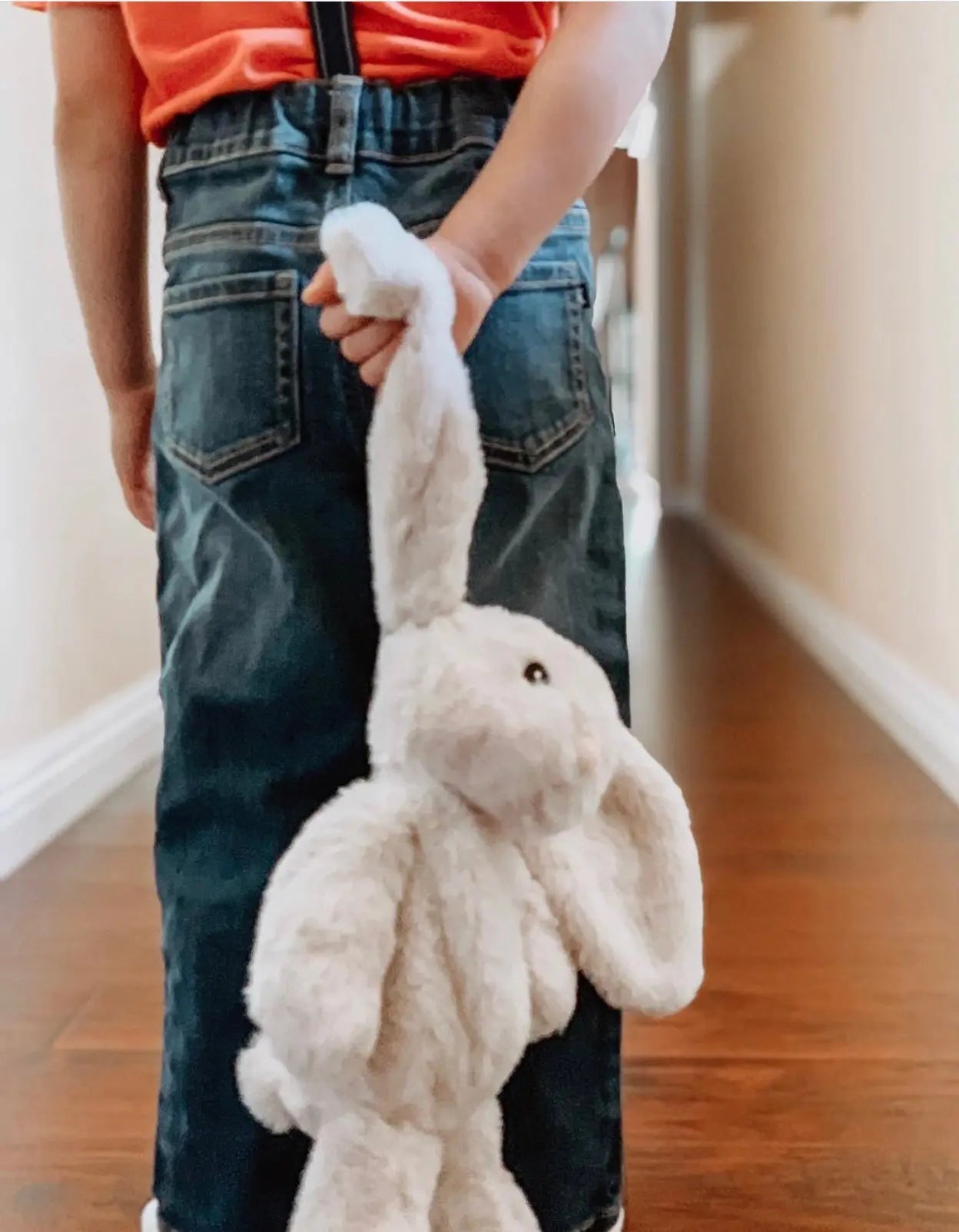 Rabbit Foster Care