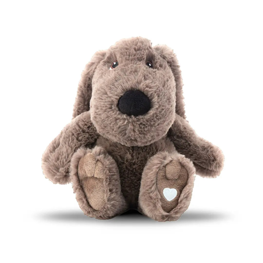 lavender Comfort Dog Best Xander Dog Lavender Life Company