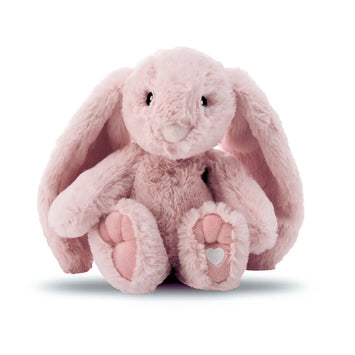 Lavender Blossoms and Their Uses: A Complete Guide to Lavender Buds ...