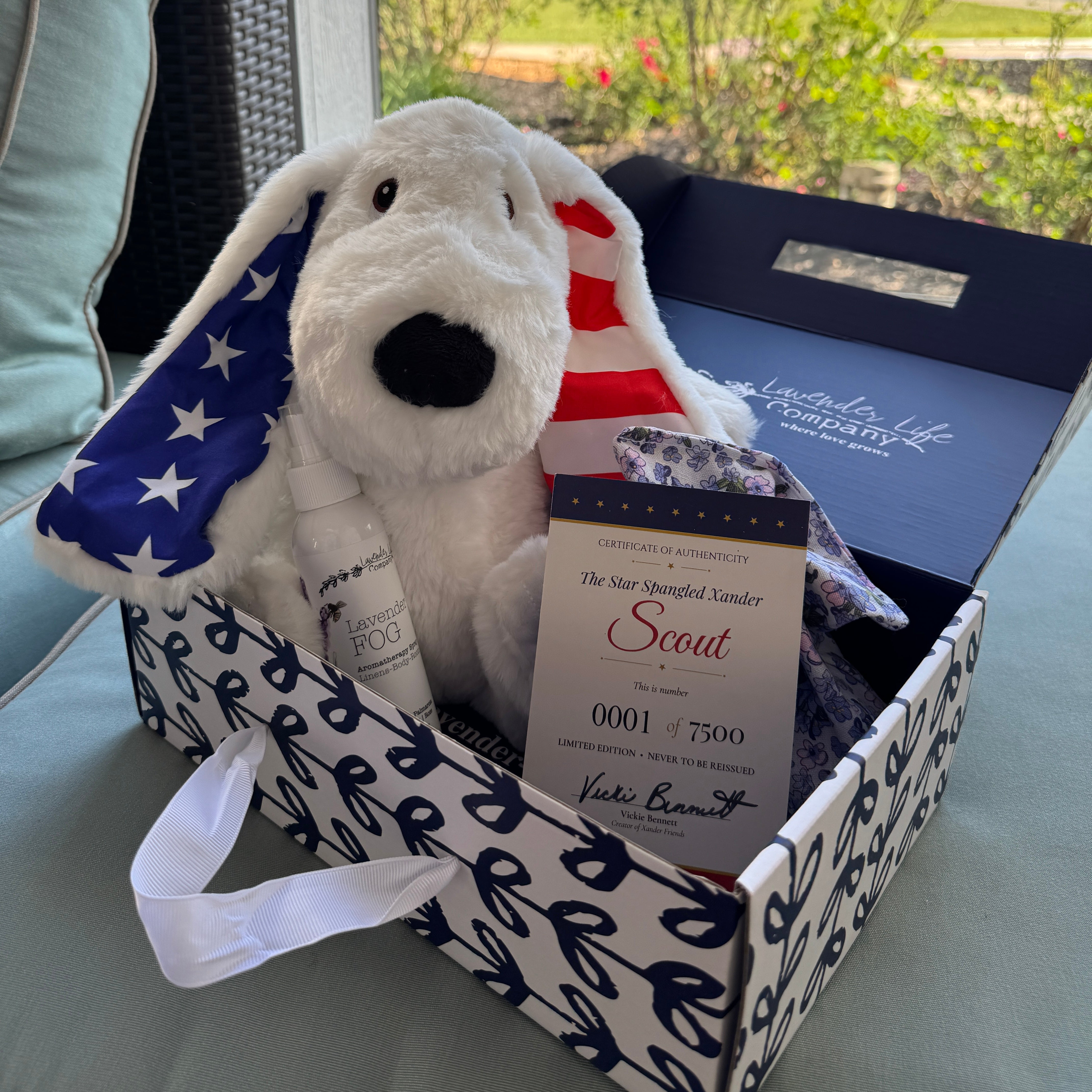 Plush dog with American flag design in a box with a product inside, outdoors.