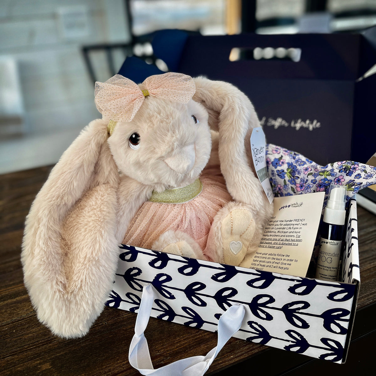 Xander Stuffed Bunny Gift Set- With Clothing & More