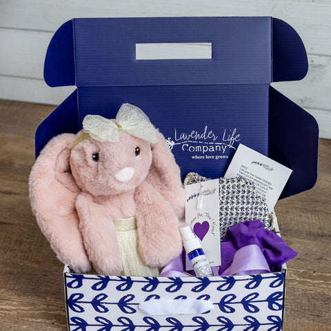 Xander Stuffed Bunny Gift Set - With Clothing & More