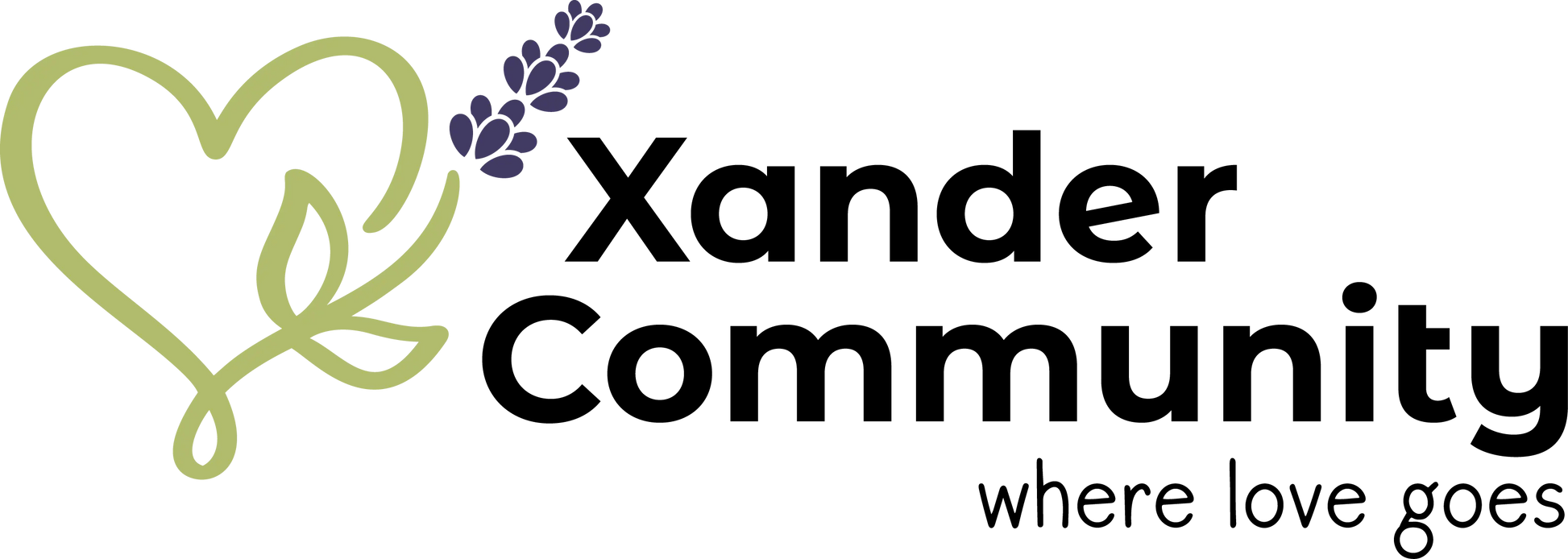 Xander Community non-profit logo image