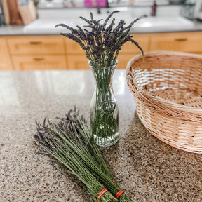 Fresh Cut Lavender- 5 Bundles