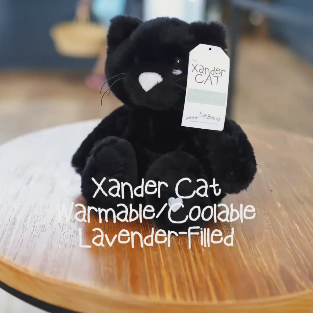 Load video: Xander Cat - Lavender Comfort Stuffed Animal