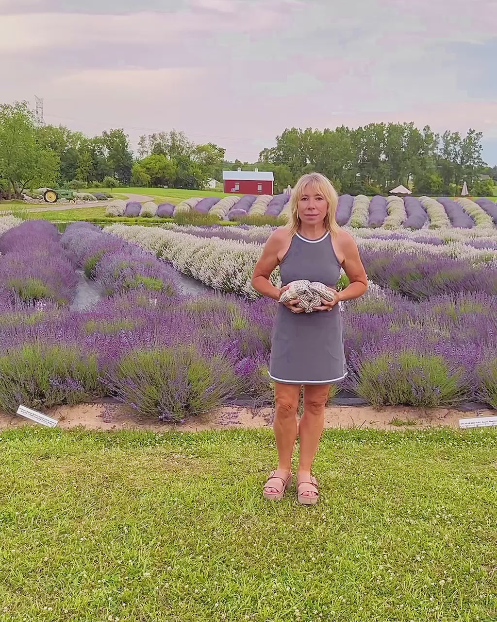 Load video: Lavender Neck Wrap &amp; Lotion - Relax Gift Set