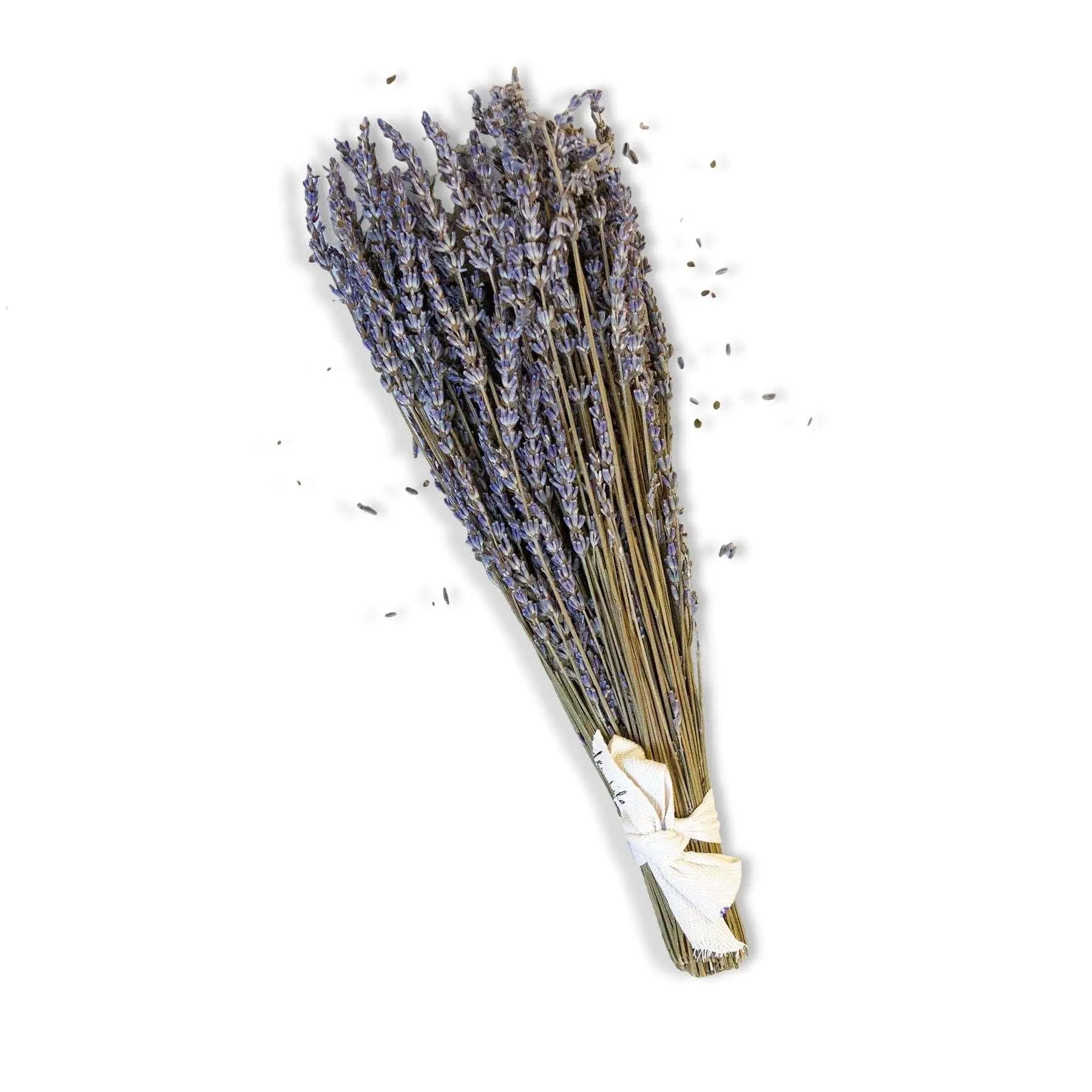 Dried Lavender Bundle - Lavender Life Company