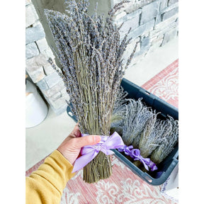 Dried Lavender XL Gift Bundle - Lavender Life Company