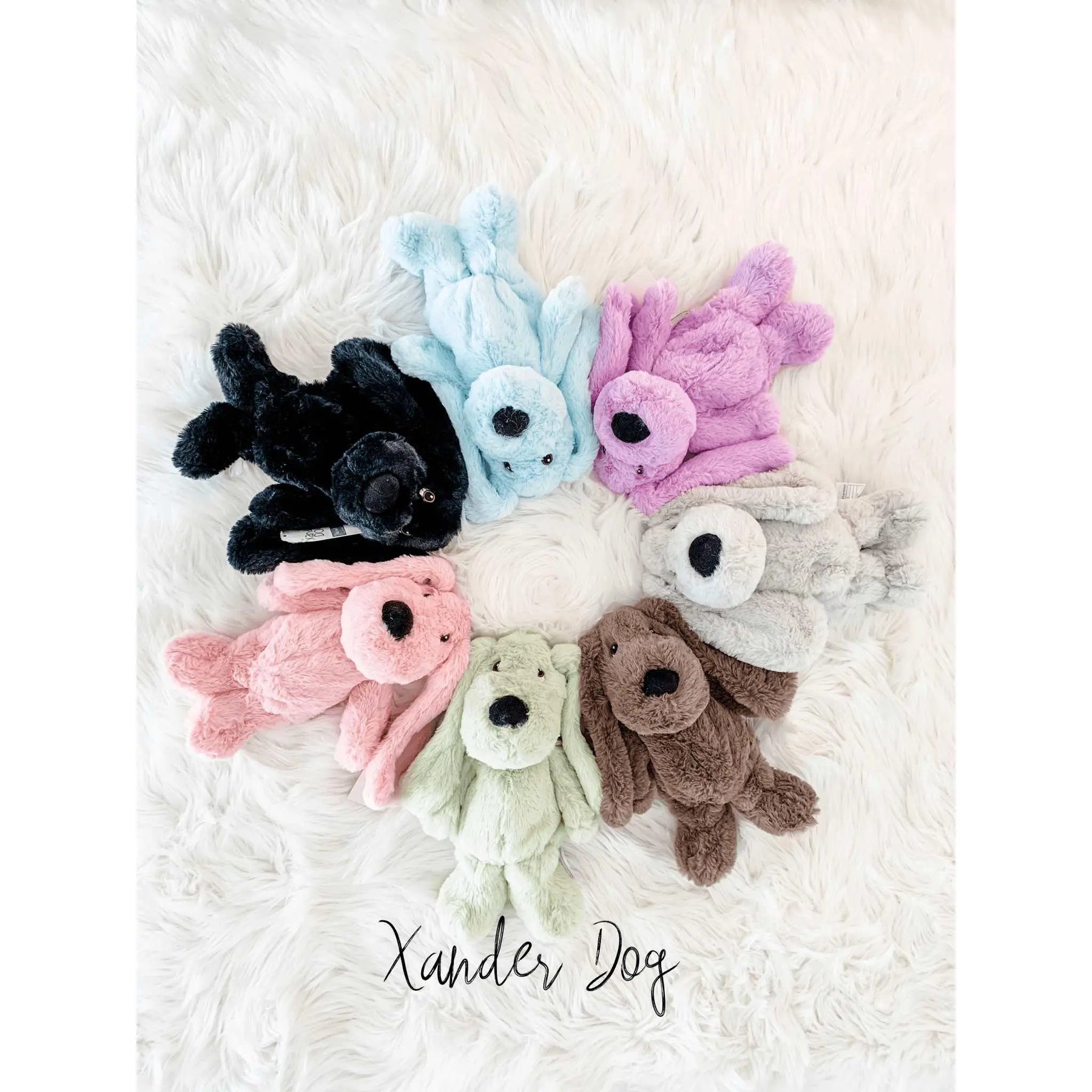 Xander Stuffed Dog Gift Set- With Clothing & More